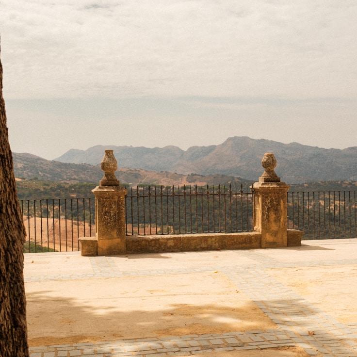 Family terraces and cafés for calm evenings in London